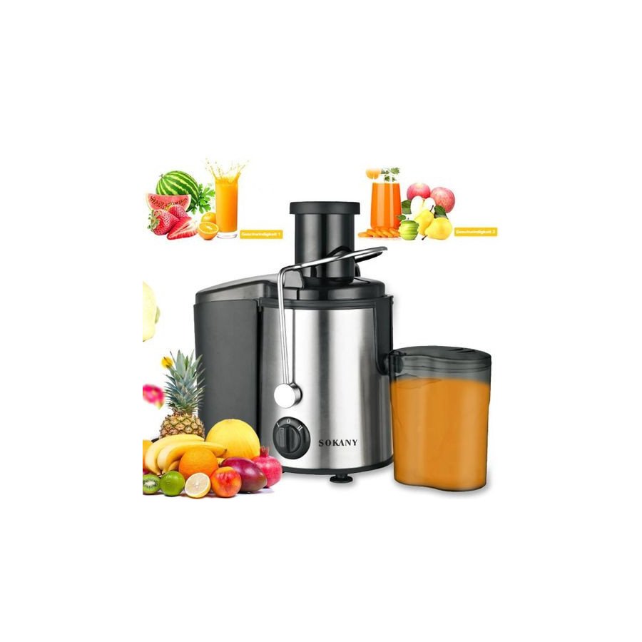 Extracteur de Jus - 800 W - Gris